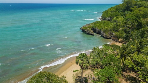 paradise 8 casino no deposit bonus codes 2020