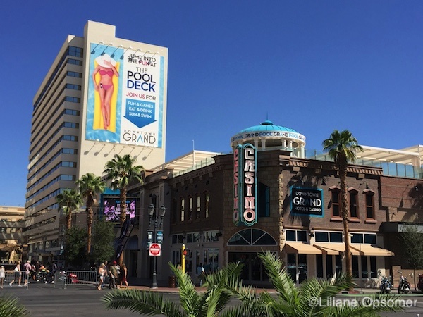 no deposit bonus bovegas casino