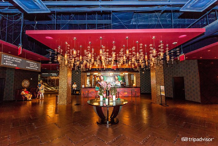 no deposit bonus 2020 bovegas